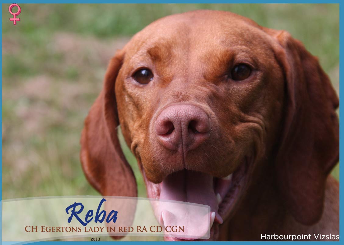 Reba-Card