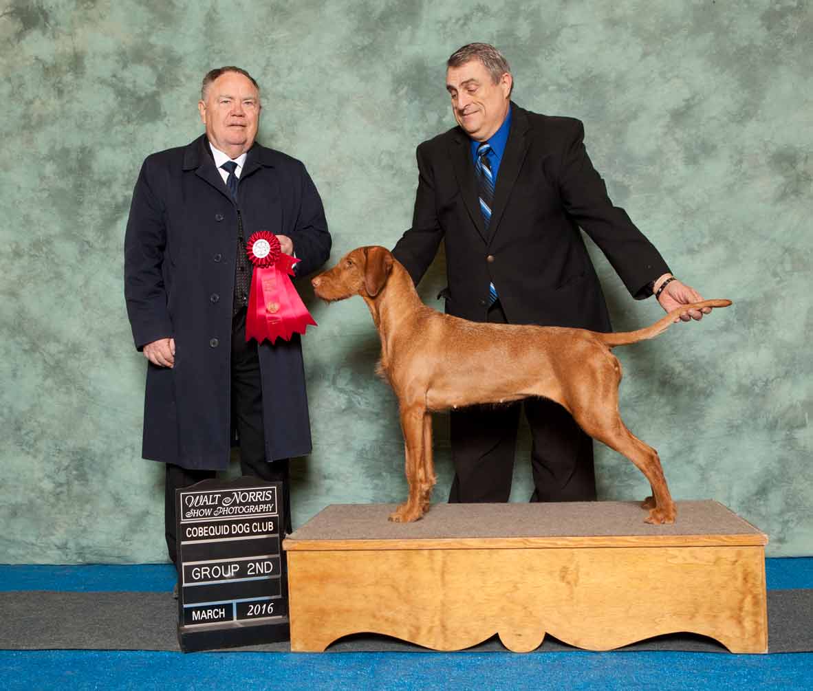 2016-03-20-COBQ-157